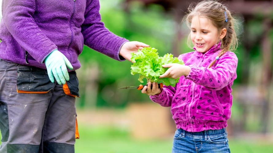 How to Grow a Veggie Patch With the Kids This Spring ParentMap